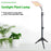Style G Square Shape Sunlight Simulation Plant Grow Light with Tripod VEG and BLOOM Segmented LED Growing Lamp, EU Plug - 2