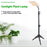Style G Square Shape Sunlight Simulation Plant Grow Light with Tripod VEG and BLOOM Full Brightness LED Growing Lamp, EU Plug - 2
