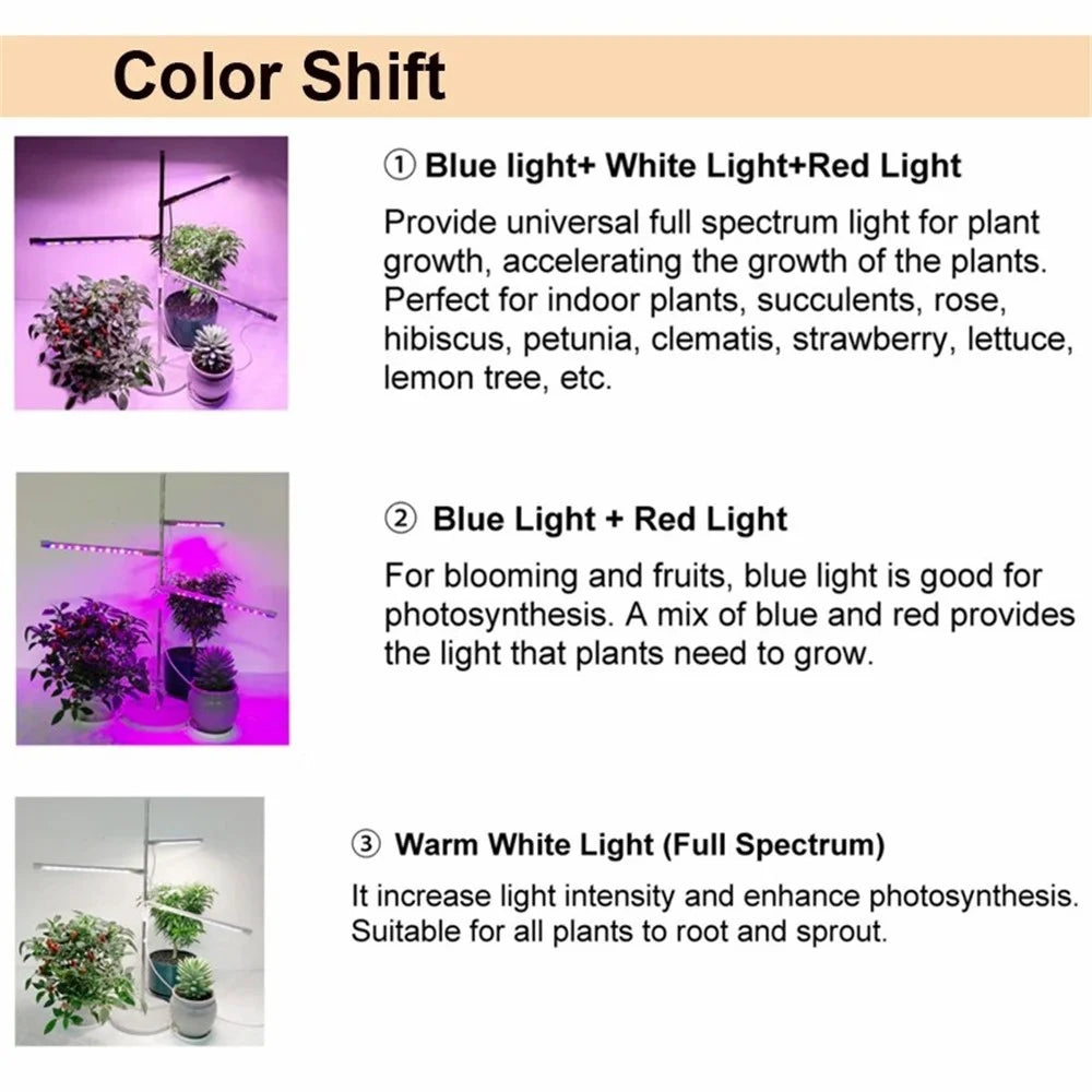 XYM-Grow Light(4000+RB)-TX-WX 10W Indoor Succulent Plant Vegetable Fruit Growth Lamp Full Spectrum Plant Light Bar - US Plug - 3