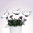 5Pcs 90ml Bird Shape Plant Waterer Automatic Watering Device PVC Drip Irrigation System, Size L - Transparent - 6