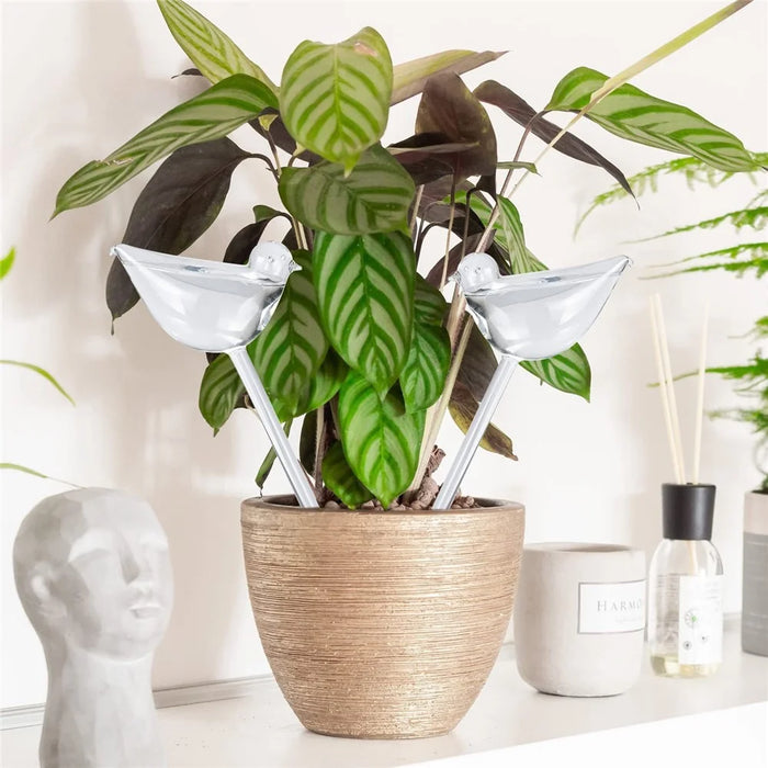 5Pcs 90ml Bird Shape Plant Waterer Automatic Watering Device PVC Drip Irrigation System, Size L - Transparent - 7