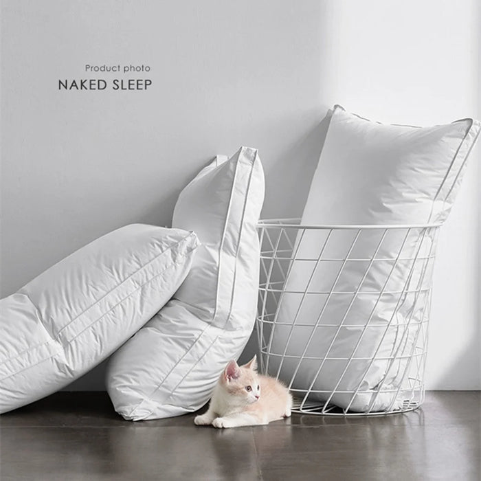 48x74cm Throw Pillow Insert Pure Cotton Cover Medium Pillow Polyester Stuffer Cushion 900g - 2