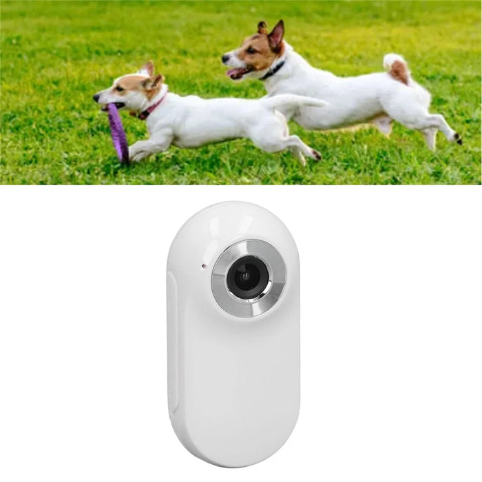 Cat Dog Camera Collar with Camera Video Record Wireless Mini Sport Body Camera - 2