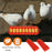 Flip Top Poultry Feeder 18 Holes Plastic Feeding Tray for Chicken Duckling Bird - 2