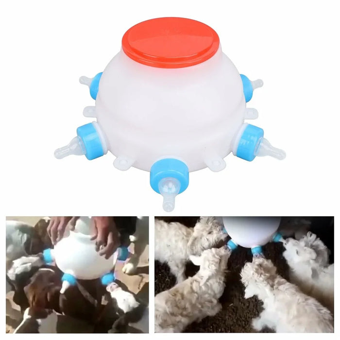 Piggy Milk Feeder 2.5L Round Piglet Poultry Breeding Feeder with 6 Pacifiers for Lambs, Piglets, Cows - 5