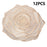 RX3307 12Pcs PVC Dining Table Placemats Heat Resistant Non Slip Rose Pattern Tabletop Mat - Rose Gold - 1