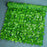 Privacy Fence Wall Screen 1 x 1m Artificial Hedges Fence with Faux Watermelon Leaf for Garden Balcony Decoration - 1