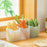 3Pcs Kitchen Refrigerator Side Door Storage Container Fruit Organizer Fresh-Keeping PP Box (No FDA, BPA-Free) - 7