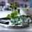 4PCS / Set Glass Candle Holders for Tealight Candles Crystal Clear Decorative Candlesticks Home Decor - 5