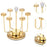 360 Degree Rotating Mug Holder Stainless Steel 6 Hooks Cup Drying Rack Kitchen Drinkware Organizer, Gold - 2