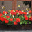 G333 10Pcs / Set Artificial Bee Lawn Stakes Yard Ornaments Realistic Insect Decoration for Outdoor Garden - 2