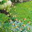 G333 10Pcs / Set Artificial Bee Lawn Stakes Yard Ornaments Realistic Insect Decoration for Outdoor Garden - 6