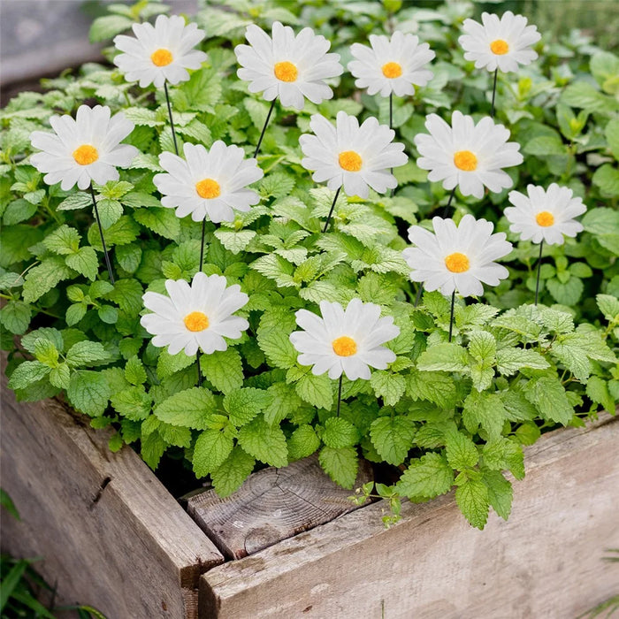 G329 10Pcs / Set Simulated Daisy Shape Garden Stake Outdoor Courtyard Patio Lawn Decoration - 7