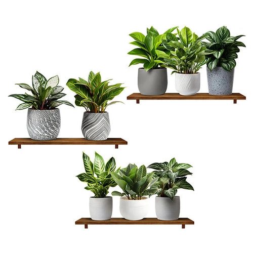 3Pcs / Set 3D Green Plant Potted Wall Stickers Self Adhesive PVC Decorative Decals for Home Office - 1