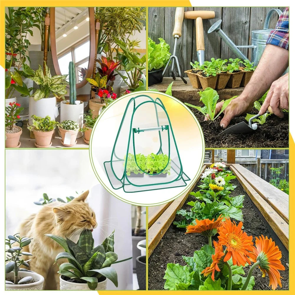 Foldable Portable Mini Greenhouse for Succulents and Flowers Home Garden Balcony Patio Warm Cover with Roll-Up Window - 4