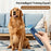 P03 Ultrasonic Dog Repellent Portable Training Device Rechargeable Anti Barking Deterrent - 3