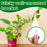 20Pcs Clear Adhesive Wall Mount LED Strip Light Plant Stem Holder Multipurpose No Drill Plastic Bracket - 3