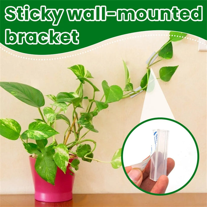 20Pcs Clear Adhesive Wall Mount LED Strip Light Plant Stem Holder Multipurpose No Drill Plastic Bracket - 3