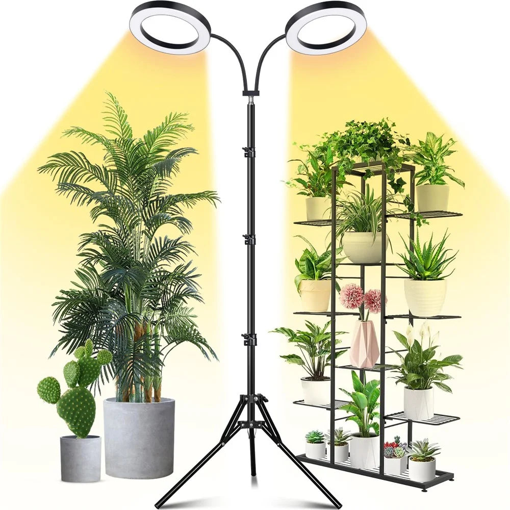 6 Inch Ring Grow Light 2 Head Adjustable Tripod Stand LED Lamp for Indoor Plants Succulents - EU Plug - 1