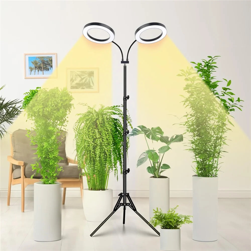6 Inch Ring Grow Light 2 Head Adjustable Tripod Stand LED Lamp for Indoor Plants Succulents - EU Plug - 2