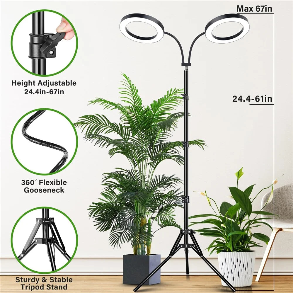 6 Inch Ring Grow Light 2 Head Adjustable Tripod Stand LED Lamp for Indoor Plants Succulents - EU Plug - 3