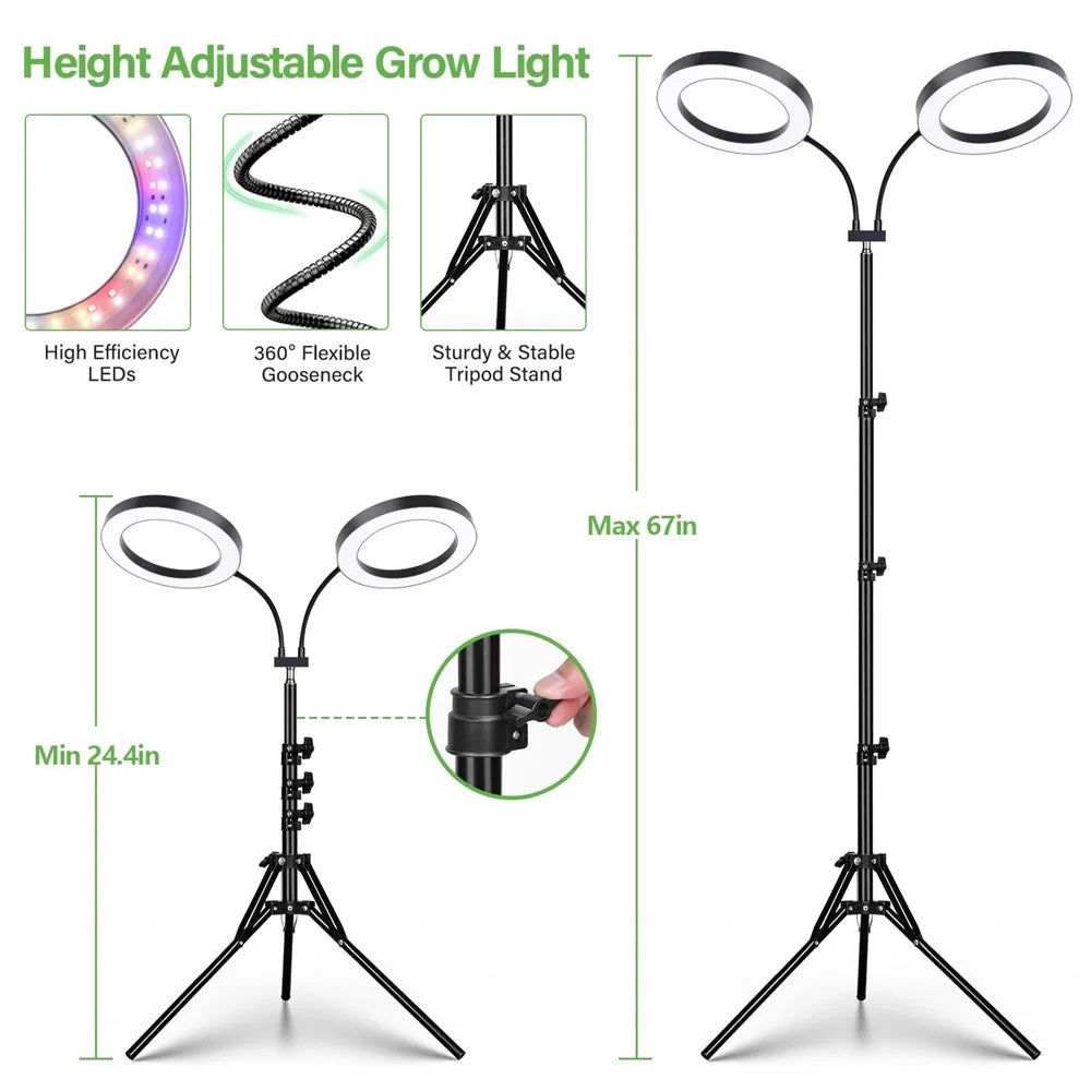 6 Inch Ring Grow Light 2 Head Adjustable Tripod Stand LED Lamp for Indoor Plants Succulents - EU Plug - 4