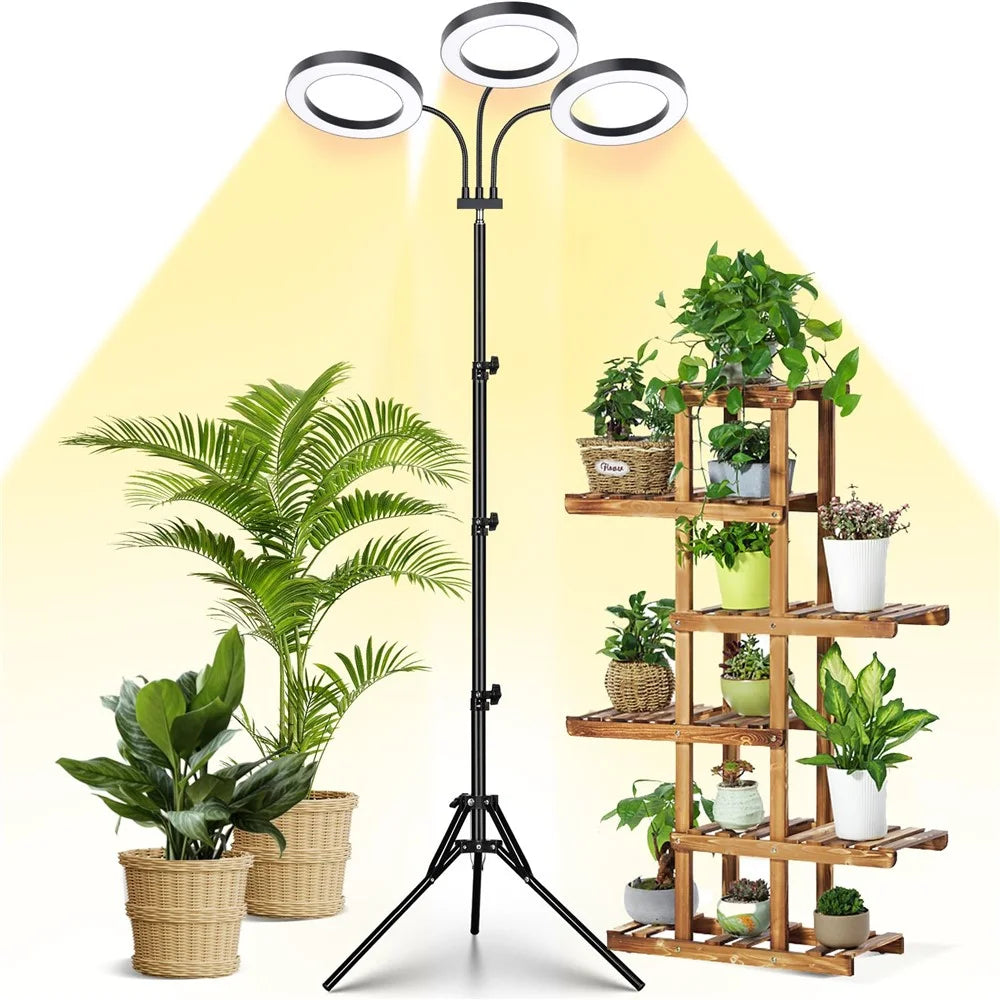 6 Inch Ring Grow Light 3 Head Adjustable Tripod Stand LED Lamp for Indoor Plants Succulents - EU Plug - 1