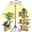6 Inch Ring Grow Light 3 Head Adjustable Tripod Stand LED Lamp for Indoor Plants Succulents - EU Plug - 1