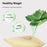 1 Pair Double Sided Adhesive Triangle Bra Inserts for Women Invisible Breathable Push Up Breast Pad - A - 5