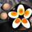 Creative Silicone Eggs Cooker Even Heating Boiled Egg Maker with Drainage Holes Storage Tray for 4 Eggs - 4