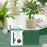 MOONSPRY 30Pcs Plant Ties Magic Tape Adjustable Garden Straps for Indoor Outdoor Plant Support - 30Pcs - 2