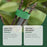 MOONSPRY 30Pcs Plant Ties Magic Tape Adjustable Garden Straps for Indoor Outdoor Plant Support - 30Pcs - 4