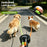 2 in 1 Retractable Dog Leash LED Lighting Tangle Free Reflective Walking Leash with Ergonomic Handle - Black - 5