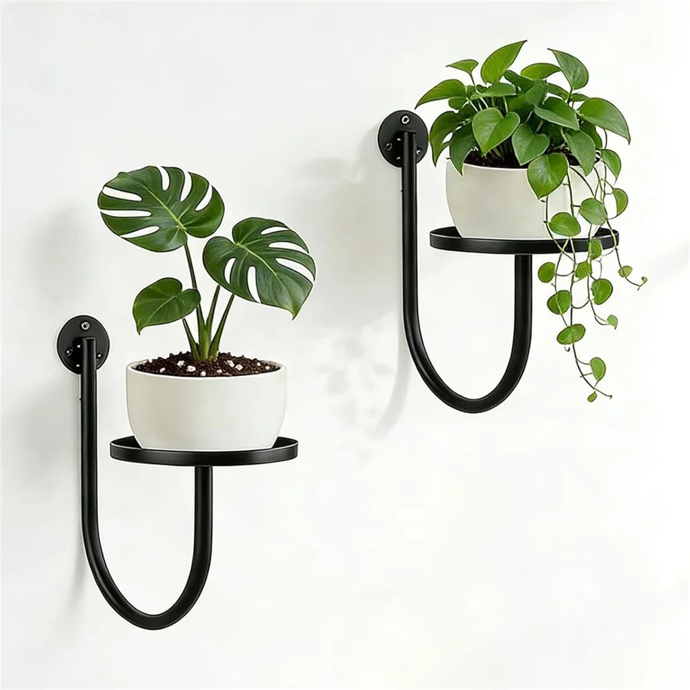 2Pcs 10x6.7x5.5inch Wall Mounted Plant Shelf Hanging Planter Holder Metal Bracket for Indoor Decor (Without Flowerpot) - 1