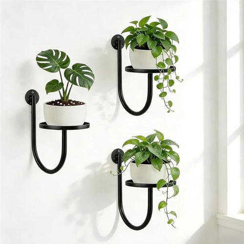 3Pcs 10x6.7x5.5inch Wall Mounted Plant Shelf Hanging Planter Holder Metal Bracket for Indoor Decor (Without Flowerpot) - 1