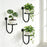 3Pcs 10x6.7x5.5inch Wall Mounted Plant Shelf Hanging Planter Holder Metal Bracket for Indoor Decor (Without Flowerpot) - 1