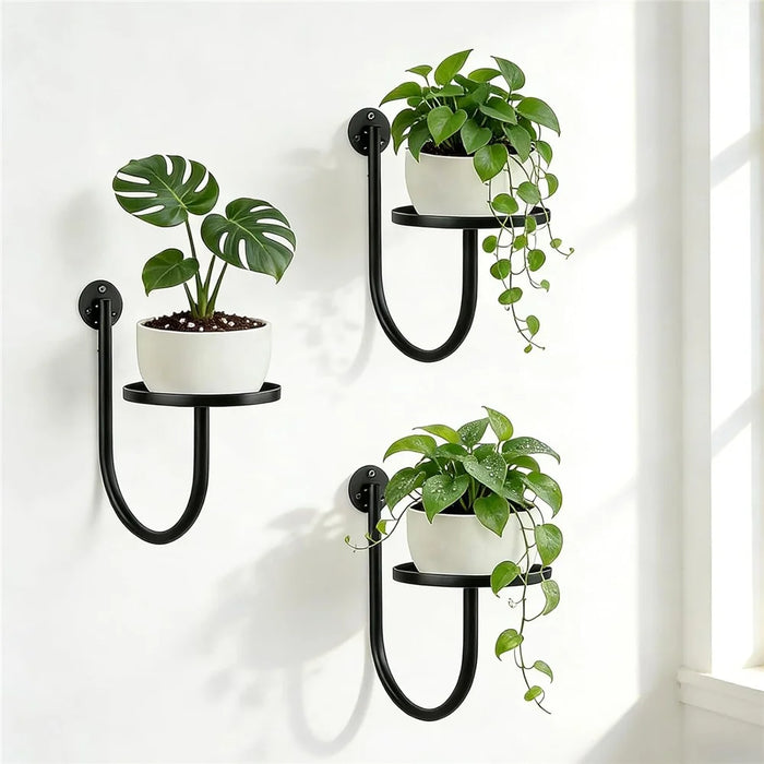 3Pcs 10x6.7x5.5inch Wall Mounted Plant Shelf Hanging Planter Holder Metal Bracket for Indoor Decor (Without Flowerpot) - 1