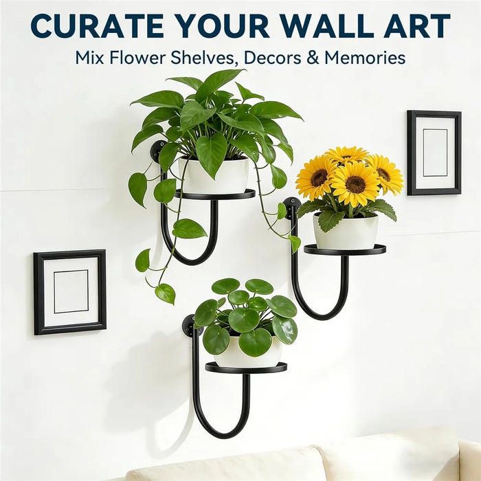 3Pcs 10x6.7x5.5inch Wall Mounted Plant Shelf Hanging Planter Holder Metal Bracket for Indoor Decor (Without Flowerpot) - 2