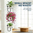3Pcs 10x6.7x5.5inch Wall Mounted Plant Shelf Hanging Planter Holder Metal Bracket for Indoor Decor (Without Flowerpot) - 4