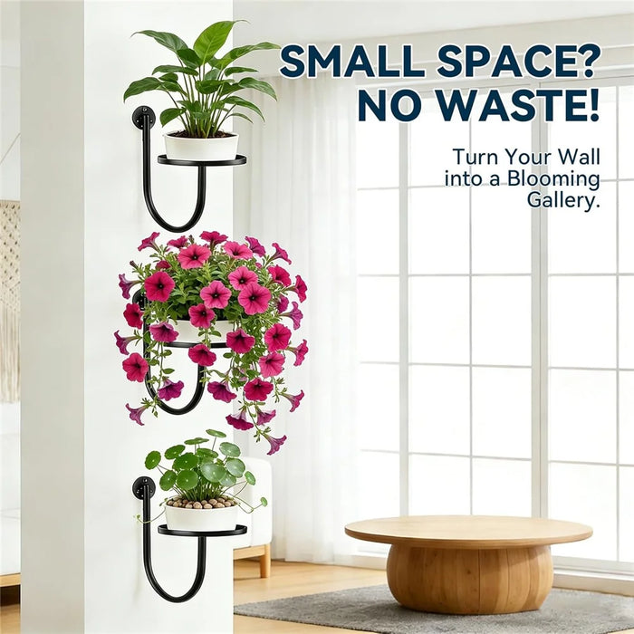3Pcs 10x6.7x5.5inch Wall Mounted Plant Shelf Hanging Planter Holder Metal Bracket for Indoor Decor (Without Flowerpot) - 4
