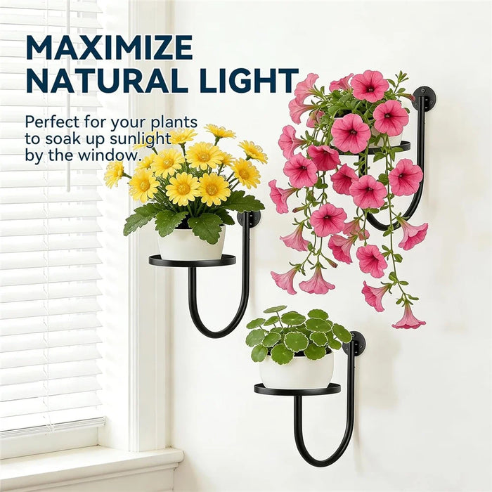 3Pcs 10x6.7x5.5inch Wall Mounted Plant Shelf Hanging Planter Holder Metal Bracket for Indoor Decor (Without Flowerpot) - 5