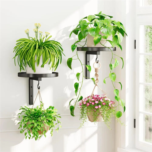 2Pcs Wall-Mounted Plant Stand Metal Hooks Indoor Outdoor Garden Decor Hanging Bracket with Anti-Fall Rim (Without Flowerpot) - Black - 1