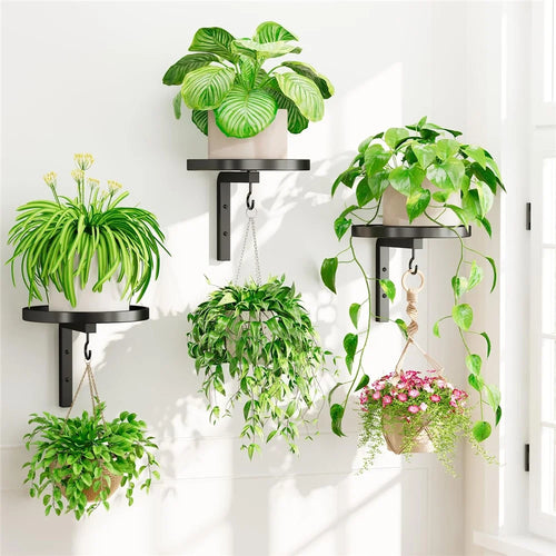 3Pcs Wall-Mounted Plant Stand Metal Hooks Indoor Outdoor Garden Decor Hanging Bracket with Anti-Fall Rim (Without Flowerpot) - Black - 1