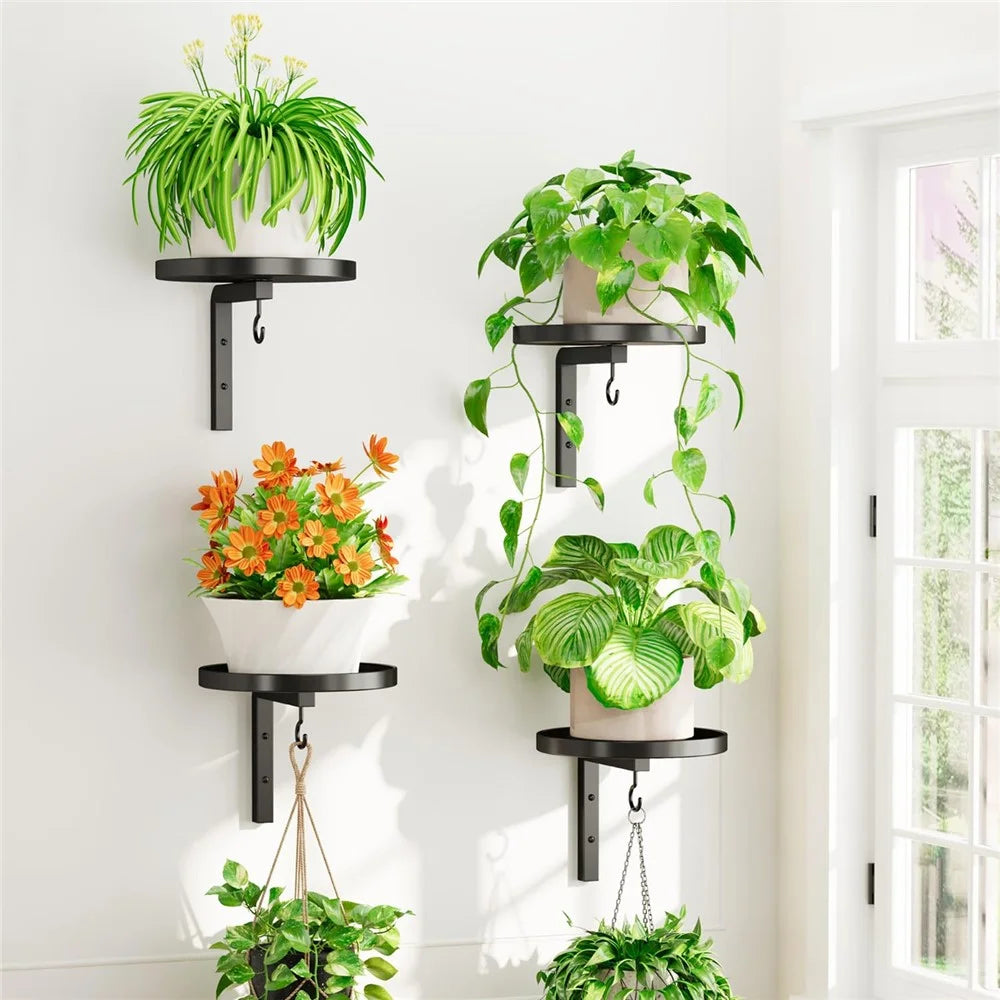 4Pcs Wall-Mounted Plant Stand Metal Hooks Indoor Outdoor Garden Decor Hanging Bracket with Anti-Fall Rim (Without Flowerpot) - Black - 1