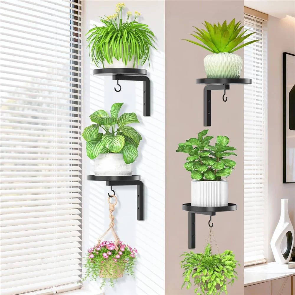 4Pcs Wall-Mounted Plant Stand Metal Hooks Indoor Outdoor Garden Decor Hanging Bracket with Anti-Fall Rim (Without Flowerpot) - Black - 6