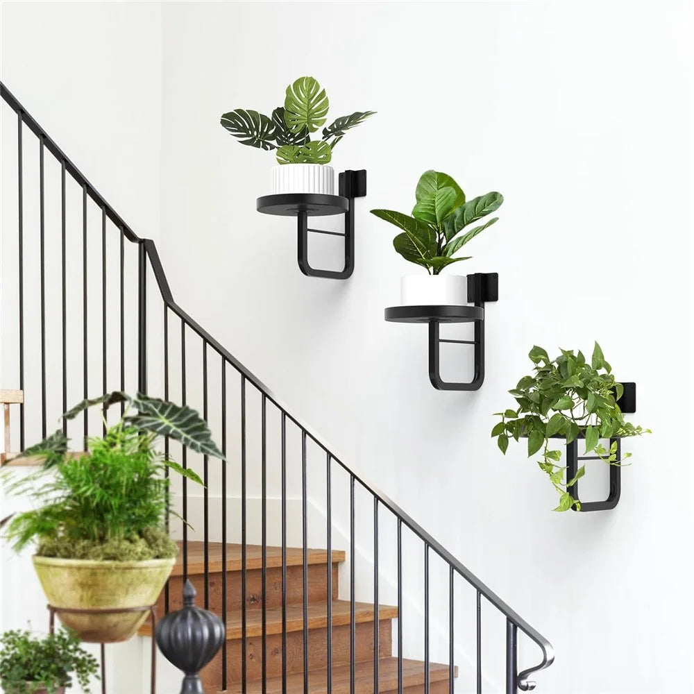 Wall-Mounted Plant Shelf Metal Hanging Plant Holder Indoor Outdoor Flower Pot Stand (Without Flowerpot) - 7