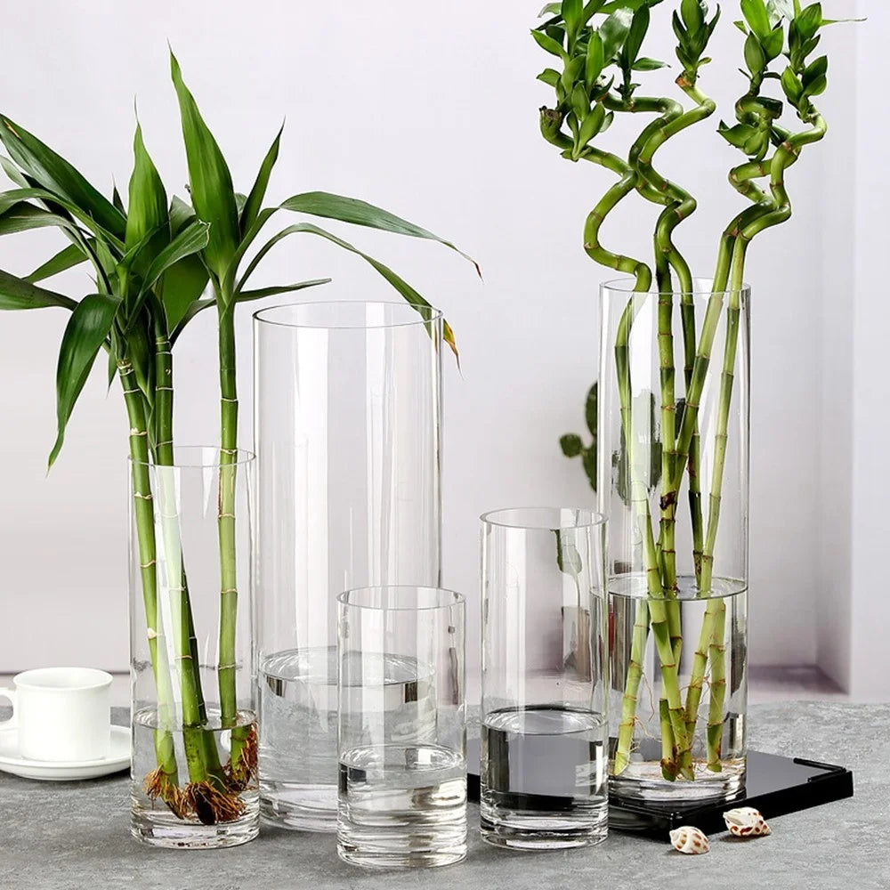 50x10cm Glass Vase Wide Mouth Tall Cylinder Water Plants Flowers Floor Vase for Home Decor - 4