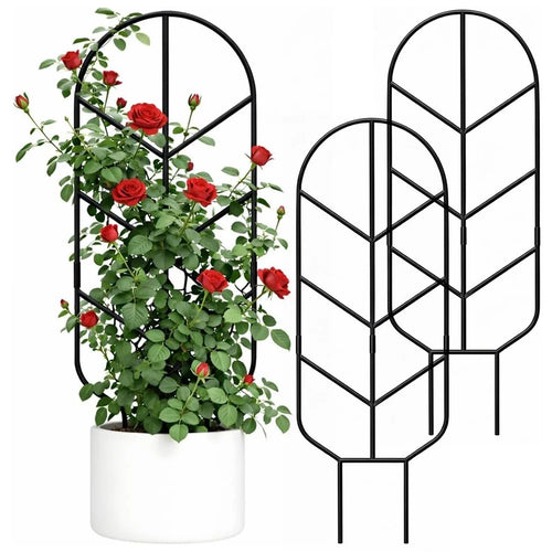 2Pcs 30 inch Plant Trellis Solid Steel Rust-Resistant Arch Top Garden Stake for Indoor Outdoor Climbing Plants - Black - 1