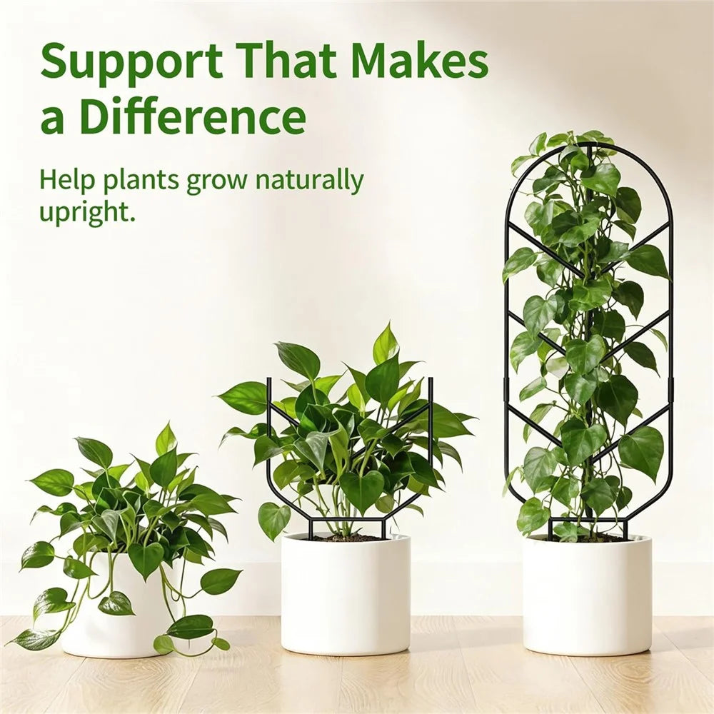 2Pcs 30 inch Plant Trellis Solid Steel Rust-Resistant Arch Top Garden Stake for Indoor Outdoor Climbing Plants - Black - 2