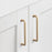 Modern Handle Cabinet Pull Zinc Alloy Kitchen Door Drawer Knob Cupboard Handle with 22mm Screw - 9019-96 / Gold - 3